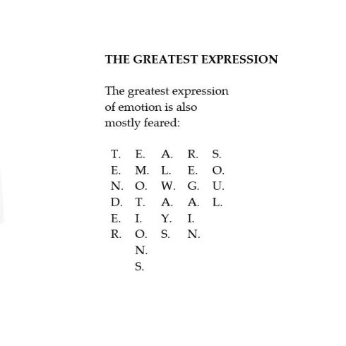 The Greatest Expression.jpg